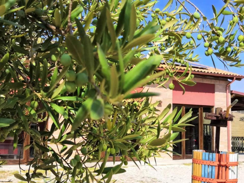 Country House Torrenera Morro d'Oro ภายนอก รูปภาพ